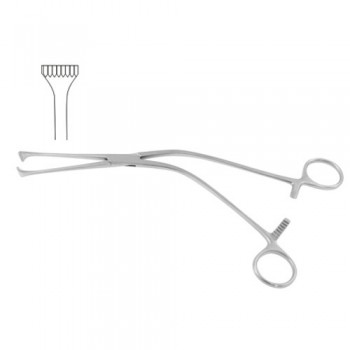 Millin Capsule Forcep Stainless Steel, 22 cm - 8 3/4"